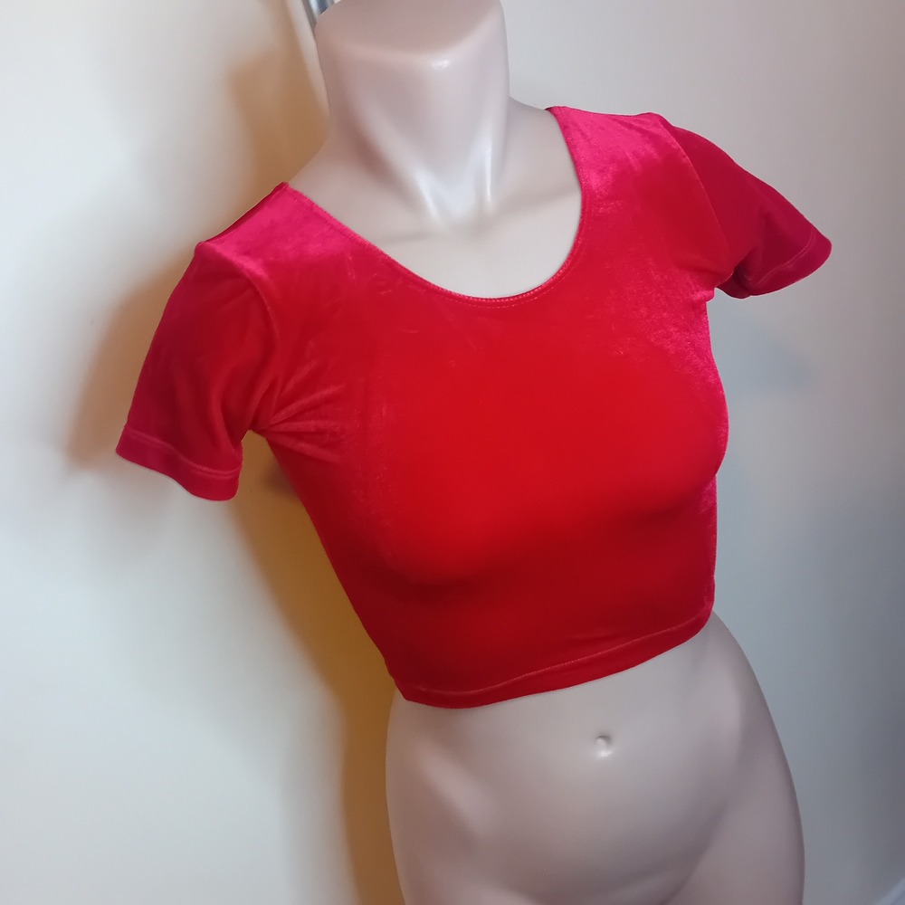 NWT Y2K American Apparel Velvet Crop Top Short Sleeve Tee Shirt Bloody Red‎ XS - Picture 3 of 16